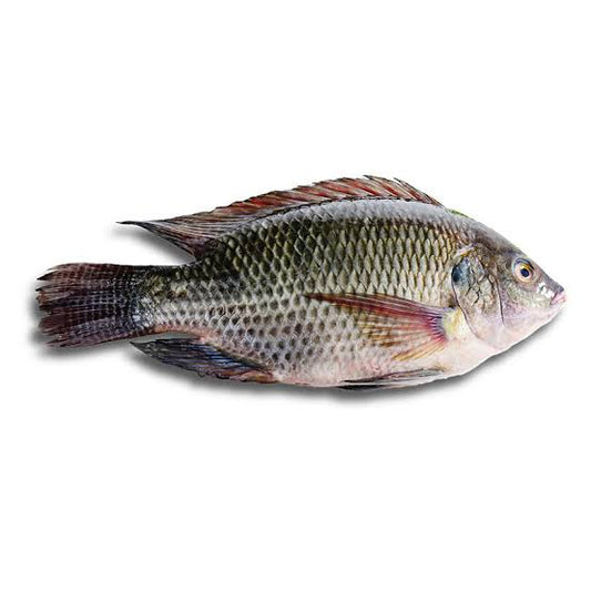 Tilapia Fish 400-500gm