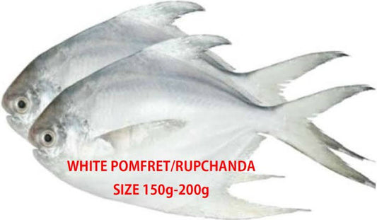 Silver Pomfret (Rup Cada)Fish 150-200gm 1 pice