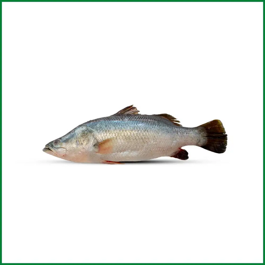 Koral 1kg