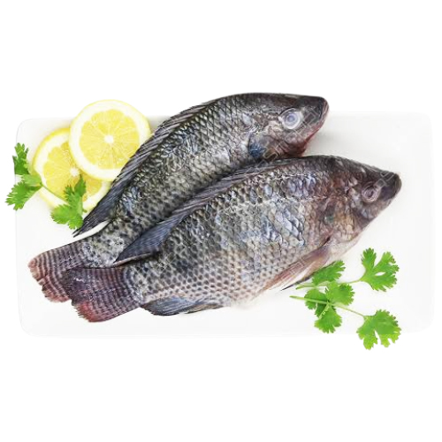Telapia 400gm-500gm