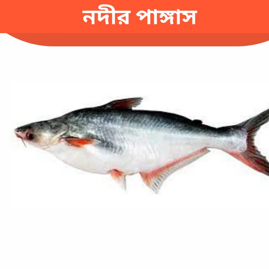 Pangash 500gm